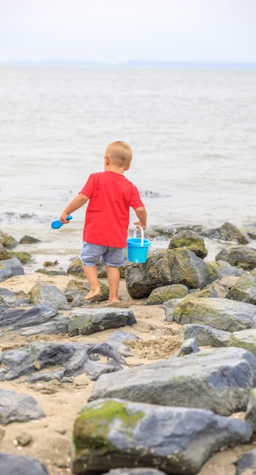 aan de westerschelde