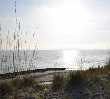 aan het Scheldestrandje