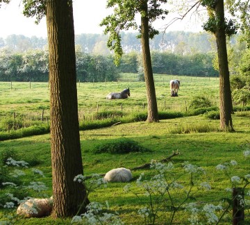 de Zak van Zuid-Beveland